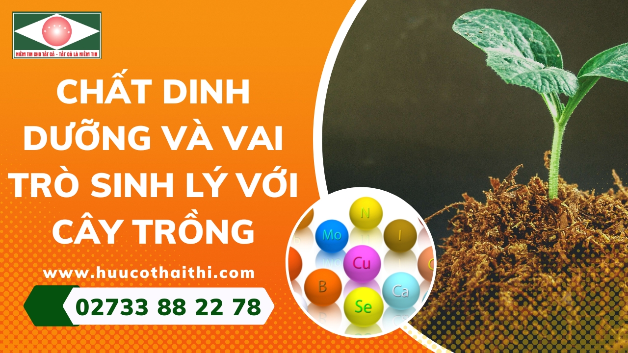 chat-dinh-duong- va-sinh-ly-voi-cay-trong